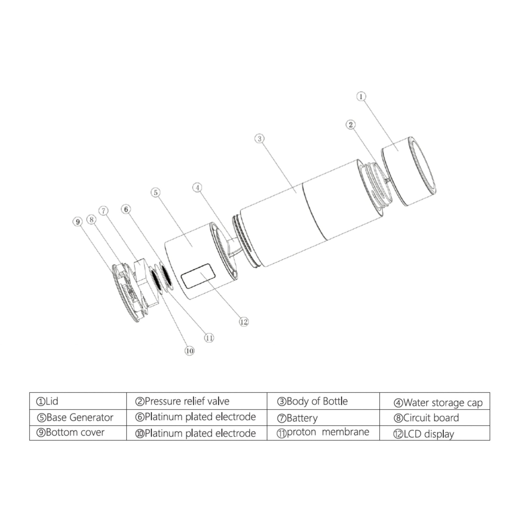 TheraH2Go Hydrogen Water Bottle - Therafrost