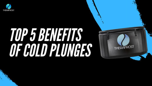 Top 5 Benefits of Cold Plunging - Therafrost
